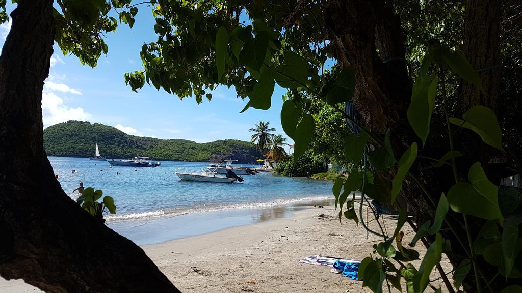 Villa Location Marigot à Terre-De-Haut Extérieur photo